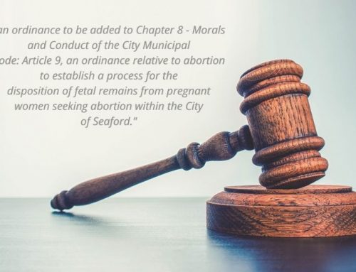Seaford City Council votes to stay enforcement of fetal remains ordinance