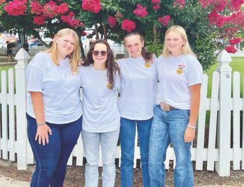 Laurel FFA students compete at state fair, 16 students to compete in nationals