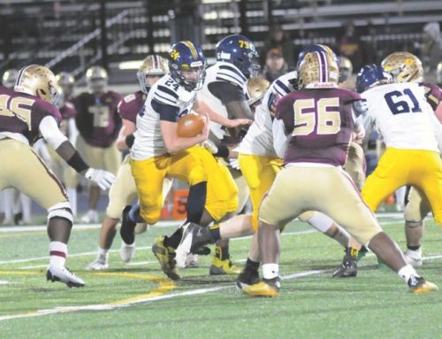 Seaford football team falls to St. Elizabeth, 46-35, in state semifinals
