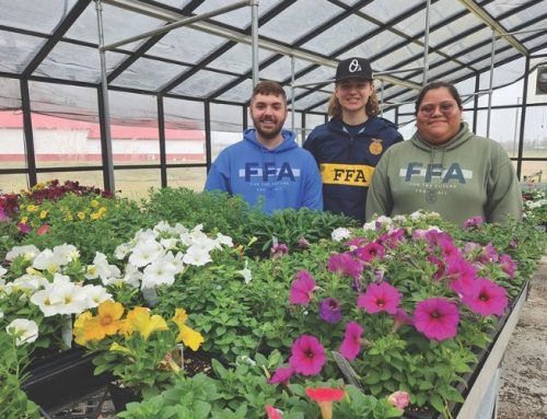 From the greenhouse to the White House, Laurel FFA students excel