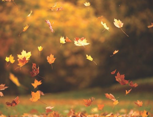 Tips to help your body cope with seasonal changes
