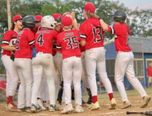 Laurel Junior League baseball team defeats Naamans to win state title