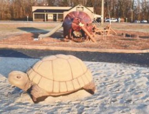 Blessing of Tidewater Park will signal the official public opening of Laurel park