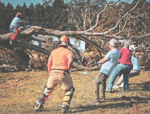 Grace Seaford Church provides disaster relief to hurricane victims in Carolinas