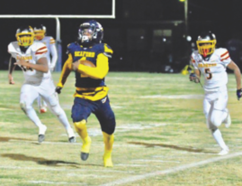 Seaford football advances to state semifinals with 35-0 home win