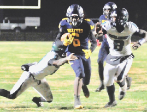 Seaford football advances to state championship with win over McKean