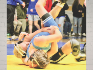 LAU – AnthonyAndrews