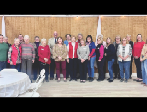 Laurel referendum fails