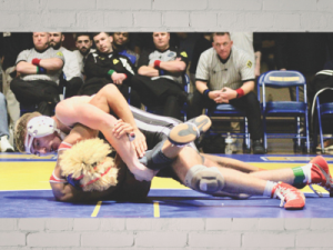 SEA-+LAU – LoganKing