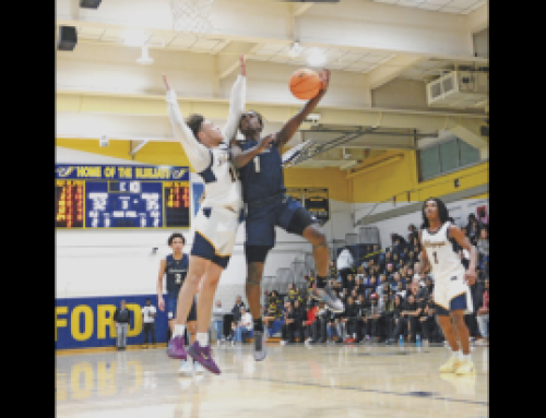Seaford boys’ basketball falls in second round of state tournament