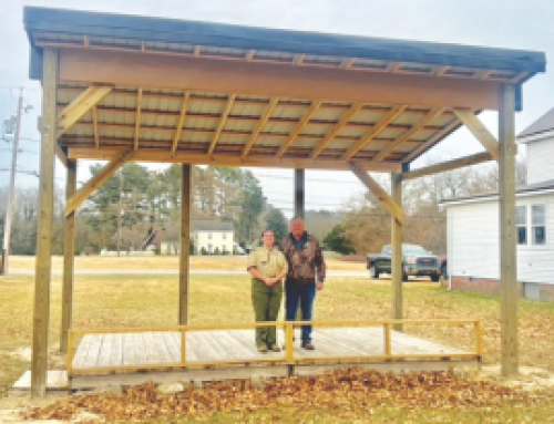 Seaford’s Emily DeGroat perseveres in pursuit of Eagle Scout project