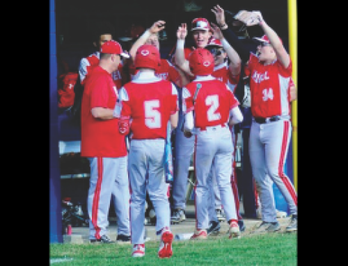Laurel baseball team holds off Seaford rally for 3-1 win
