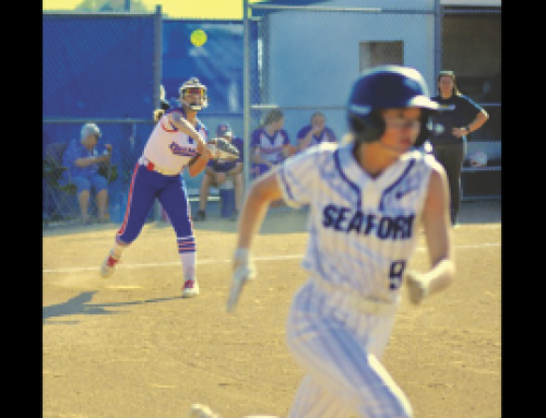Delmar softball team tops Seaford in five innings
