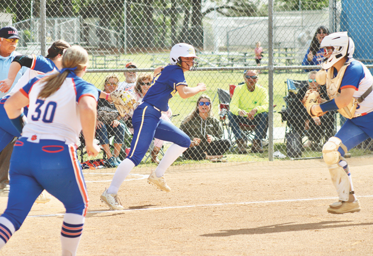SPORTS521 Softball baserunner in blue sprints toward home plate as catcher prepares to tag, with spectators behind a chain-link fence.