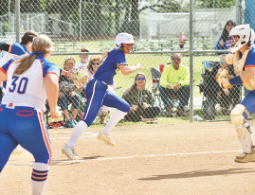 Delmar softball team falls to Sussex Central in conference championship