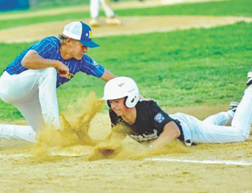 Mid-Sussex Senior baseball sweeps Western Sussex in championship